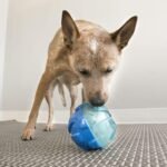 Kong - Rewards Ball - Ultra Durable Interactive Treat Dispensing Dog Toy - for Large Dogs - Image 2
