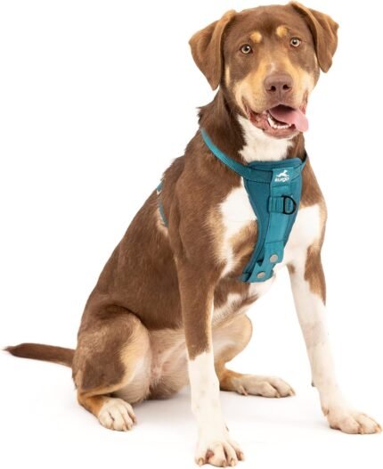 Kurgo Enhanced Strength Tru-Fit Dog Car Harness – Pet Travel Safety Harness – Crash Test Certified Fit – Five Point Adjustment – Secure Buckle – Padded Chest – Ink Blue – Medium