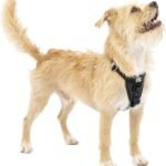 Kurgo Enhanced Strength Tru-Fit Smart Harness, Black, Extra Small