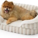 LE SURE Cute Cozy High Back Orthopedic Small Dog Bed with Sides, 24″ Beige