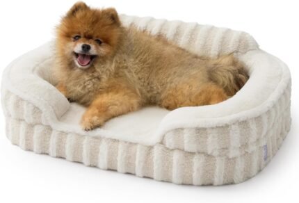 LE SURE Cute Cozy High Back Orthopedic Small Dog Bed with Sides, 24″ Beige