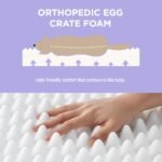 LE SURE Cute Orthopedic Dog Bed Large Sized Dog, Flat Pet Mat,36x27in Cream - Image 2