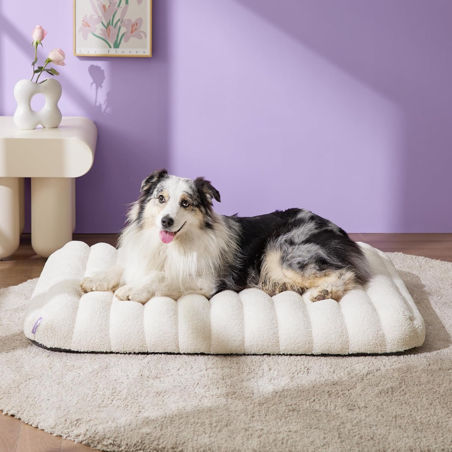 LE SURE Cute Orthopedic Dog Bed Large Sized Dog, Flat Pet Mat,36x27in Cream LE SURE Cute Orthopedic Dog Bed Large Sized Dog, Flat Pet Mat,36x27in Cream