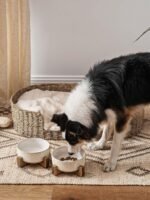 LE TAUCI PET Ceramic Dog Bowls for Medium Large Dogs - 5 Cup Large Dog Food and Water Bowls with Wood Stand, Cute Pet Dishes Set of 2, Lines+Dot - Image 2