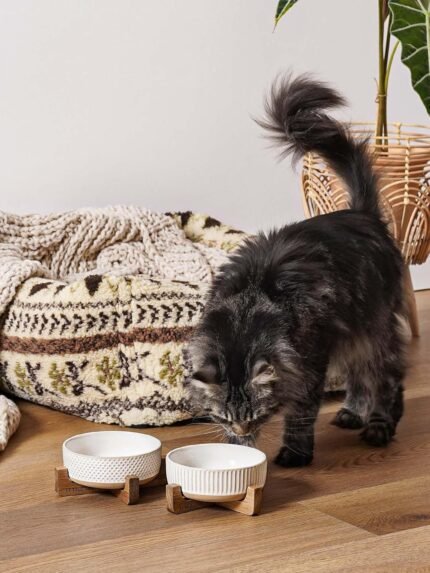 LE TAUCI PET Ceramic Dog and Cat Bowl Set with Acacia Wood Stand - 2 Cup Weighted Non-Slip Food and Water Bowls for Small Dogs & Cats, Lines + Dot