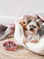 LE TAUCI PET Ceramic Slow Feeder Dog Bowls Small Breed, 0.5 Cups Dog Food Dish for Fast Eaters, Puzzle Bowl for Small Dogs and Cats, 5.5 Inch-Pink - Image 2