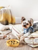 LE TAUCI PET Ceramic Slow Feeder Dog Bowls Small Breed, 0.5 Cups Dog Food Dish for Fast Eaters, Puzzle Bowl for Small Dogs and Cats, 5.5 Inch-Yellow - Image 2
