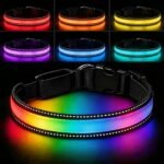 LED Dog Collar – Light Up Dog Collar USB Rechargeable, 7 Color Changing Waterproof Glowing Collar with 500m Visibility, Reflective Nylon Adjustable Safe Collar for Night Walking Dogs M