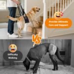 LOOBANI Adjustable Dog Sling for Large Dogs Hind Leg Support ACL Recovery - Image 2