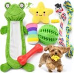 LOYEE 8 Pack Puppy Toys for Small Dogs, Luxury Dog Chew Toys with Squeaky Plush Toys, Rope Toys and Ball, Teething Toys for Puppy Supplies