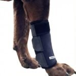 Labra Dog Front Leg Brace – Compression Wrap with Adjustable Straps – Dog Wrist Brace for Support – Leg Sleeve to Stop Licking – Aid in Wound Care and Recovery – Small/Medium