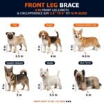 Labra Dog Front Leg Brace - Compression Wrap with Adjustable Straps - Dog Wrist Brace for Support - Leg Sleeve to Stop Licking - Aid in Wound Care and Recovery - Small/Medium - Image 2