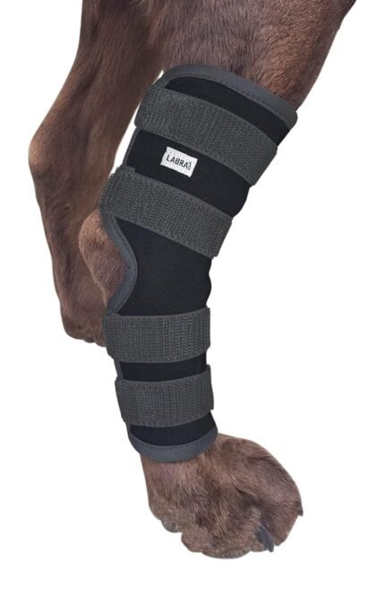 Labra Dog Rear Leg Hock Joint Compression Wrap – Supportive Brace for Weak Back Legs, ACL Tear, and Joint Discomfort – Adjustable Hind Leg Support for Senior Dogs – Extra Large
