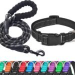Ladoogo Reflective Dog Collar Padded with Soft Neoprene, Medium, Black