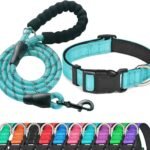 Ladoogo Reflective Dog Collar Padded with Soft Neoprene, Medium, Turquoise