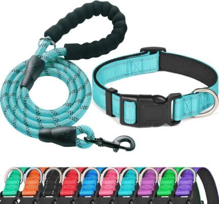 Ladoogo Reflective Dog Collar Padded with Soft Neoprene, Medium, Turquoise