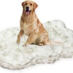 Laifug Luxury Faux Fur Dog Bed，5 in Memory Foam（50L x 30W x 5H in，White）