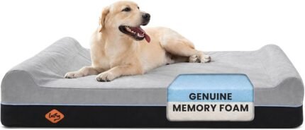 Laifug Orthopedic Dog Bed, Slate Grey 50”x36”x10”, Memory Foam
