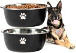 Large Dog Water Bowl 2 Pack, 1.3 Gallons 170oz Stainless Steel Extra Large Dog Food Bowl for Big Giant Dogs, Black