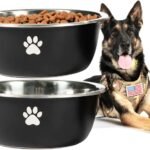 Large Dog Water Bowl 2 Pack, 1.3 Gallons 170oz Stainless Steel Extra Large Dog Food Bowl for Big Giant Dogs, Black