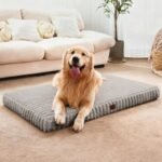 Large Orthopedic Dog Crate Bed with Waterproof Lining
