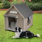 Large Outdoor Dog House for Medium Dogs, Wooden Dog Kennel