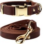 Leather Dog Collar and Leash Set, 6FT Heavy Duty Leather Training Leash with Adjustable Dog Collar, Soft and Durable Dogs Leashes and Collars Set for Small Medium Large Dogs (Brown, M)
