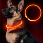 Led Dog Collar, BSEEN USB Rechargeable Flash Dog Necklace Light, Pet Safety Collar Makes Your Beloved Dogs Be Seen at Night for Small Medium Large Dogs(Orange)