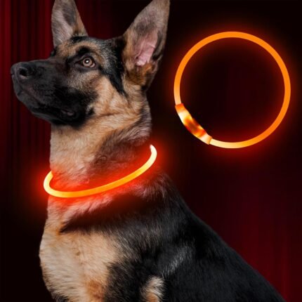 Led Dog Collar, BSEEN USB Rechargeable Flash Dog Necklace Light, Pet Safety Collar Makes Your Beloved Dogs Be Seen at Night for Small Medium Large Dogs(Orange)
