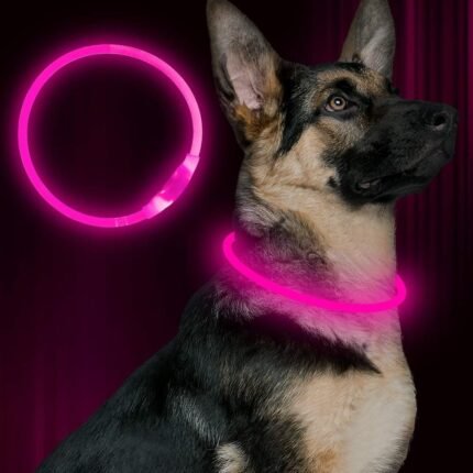 Led Dog Collar,BSEEN USB Rechargeable Light up Flash Dog Necklace