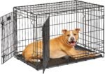 LifeStages by MidWest 36-Inch Double Door Crate, M-L Breeds, 41-70 lbs