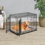 LifeStages by MidWest 36-Inch Double Door Crate, M-L Breeds, 41-70 lbs - Image 2