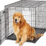 LifeStages by MidWest 42-Inch Single Door Crate, Large Breeds, 71-90 lbs