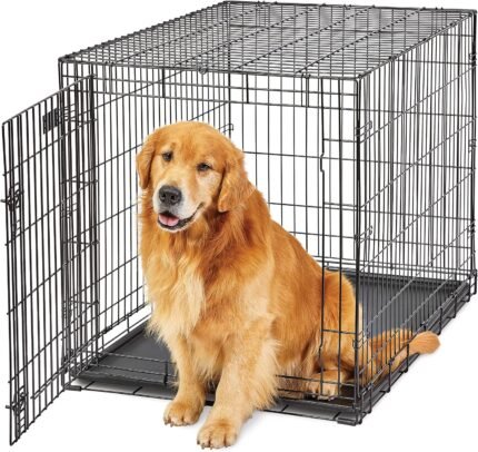 LifeStages by MidWest 42-Inch Single Door Crate, Large Breeds, 71-90 lbs