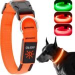 Light Up Dog Collar, Rechargeable USB Collar, Waterproof, Luminous LED Collar, Adjustable, Super Bright, Night Walking for Small Medium Large Dogs, Orange, L
