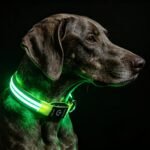 Light Up Dog Collar for Night Walking, Reflective LED Collar(Green, Large)