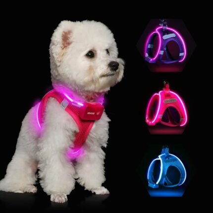Light Up Dog Harness, Rechargeable LED Dog Harness for Small Medium Dogs