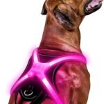 Light Up Dog Harness–Multicolor LED Dog Harness with 7 Lighting Modes | No Pull USB Rechargeable Safety Vest with Handle for Medium Large Dogs | Waterproof & Adjustable Glow-in-The-Dark Illuminated(L)