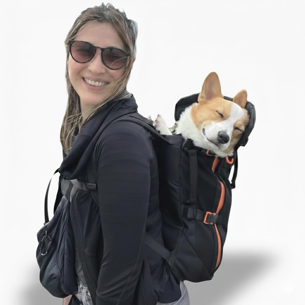 Little Chonk Maxine One Dog Backpack Carrier for Medium Dogs (Black) Little Chonk Maxine One Dog Backpack Carrier for Medium Dogs (Black)