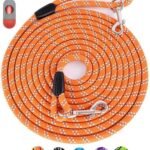 Long Dog Leash for Training 10FT/16FT/20FT/30FT/50FT/100FT, Reflective Tie Out, Heavy Duty Dog Lead for Large, Medium & Small Dogs – Outside Walking, Playing, Camping, Yard