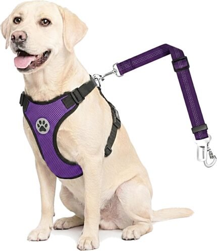 Lukovee Dog Car Harness Seat Belt Set, Seatbelt with 2 in 1 Buckle, M