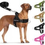 Lukovee No Pull Dog Harness and Leash Set, Soft Padded, with 5ft Leash, XL