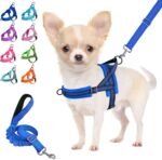 Lukovee Small Dog Harness and Leash Set, No Pull Soft Padded, 4ft Leash, XS