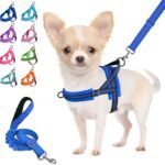 Lukovee Small Dog Harness and Leash Set, No Pull Soft Padded, 4ft Leash, XS