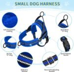 Lukovee Small Dog Harness and Leash Set, No Pull Soft Padded, 4ft Leash, XS - Image 2