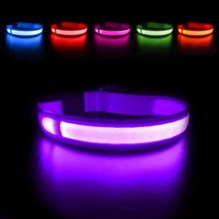 MASBRILL Light Up Dog Collar – LED Dog Collar Rechargeable Waterproof Night Walking Glow Collar for Dogs (M, Purple)
