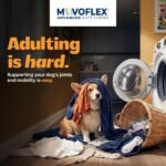 MOVOFLEX Advanced Soft Chews Hip and Joint Support Supplement for Small Dogs - 60 Count by Virbac - Image 2
