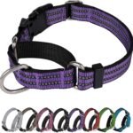 Martingale Collar for Dogs, No Pull No Choking(Purple,M)