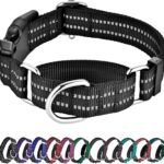Martingale Collar for Dogs,Reflective Escape Proof,Black,M