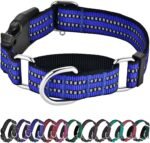 Martingale Collar for Dogs,Reflective Escape Proof,Blue,M